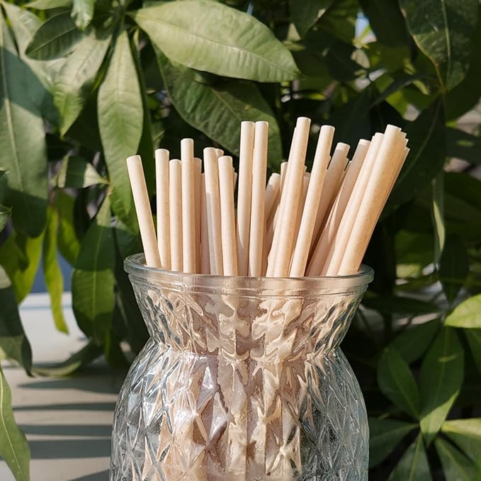 100PCS Disposable Bagasse Straws,8.27'' Straight Flat Straw,0.22'' Diameter,Eco-friendly Sugarcane Drinking Biodegradable Straw for Party,Juice,Cocktail,Kitchen,Club,Drinks, Milk, Soda