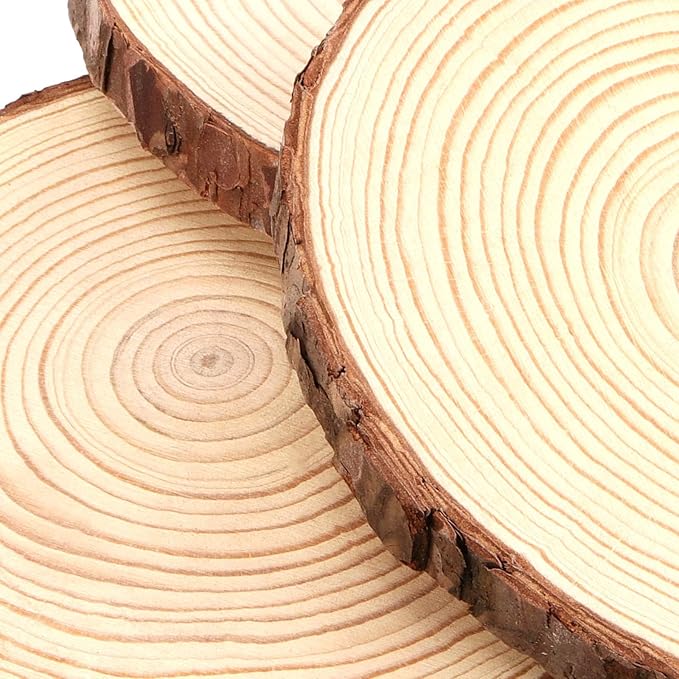 15 Pack 6-7 Inch Natural Wood Slices for Crafts, Unfinished Wood Slices with Bark 0.6 Inch Thick Wood Rounds Wooden Coasters for Crafts, Ornaments, Decorations