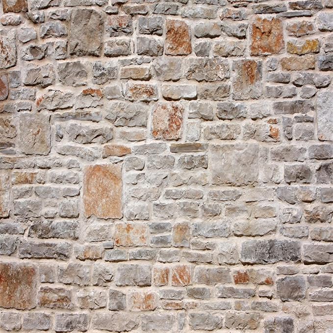 AOFOTO 6x6ft Grunge Brick Stone Wall Backdrop Vintage Shabby Texture Photography Background Kid Girl Boy Lovers Baby Portrait Nostalgia Photo Shoot Studio Props Video Wallpaper