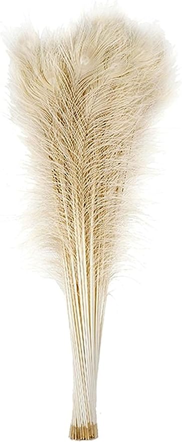 25 Pcs Bleached Peacock Feathers 30"-35" for Weddings Decoration Halloween Costumes