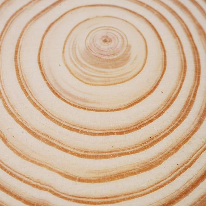 Large Round Rustic Wood Slices for centerpieces 8-9 inch 6 Pack (6 pcs 8-9inch)
