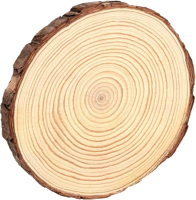15 Pack 6-7 Inch Natural Wood Slices for Crafts, Unfinished Wood Slices with Bark 0.6 Inch Thick Wood Rounds Wooden Coasters for Crafts, Ornaments, Decorations