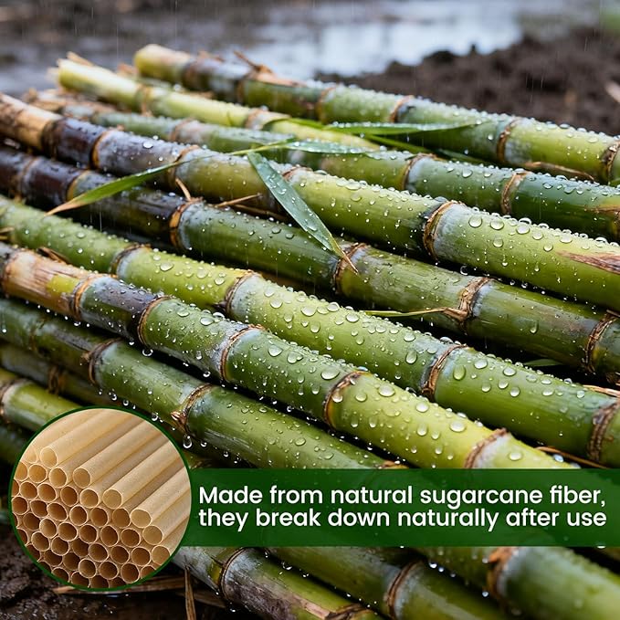 HANSGO Cocktail Straws, 5 Inch Short Sugarcane Straws Disposable Mini Cocktail Stirrers for Bar, 100PCS, Natural Brown