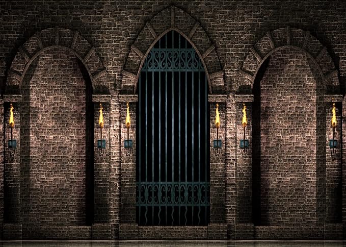 BELECO 5x3ft Fabric Gothic Castle Photography Backdrop Ancient Stone Wall Arches Iron Gates Torches Prison Corridor Halloween Night Background Medieval Castle Birthday Party Decorations Photo Props