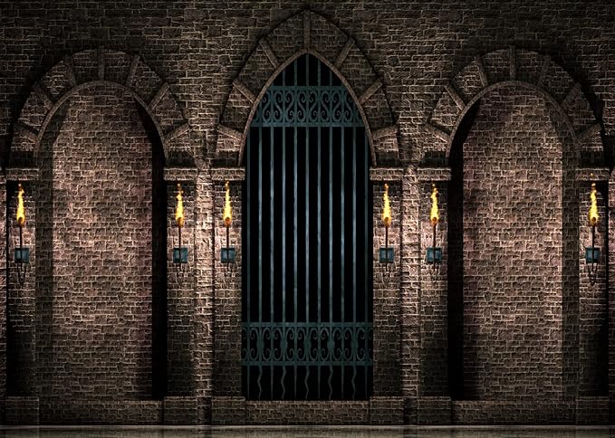 BELECO 8x6ft Fabric Gothic Castle Photography Backdrop Ancient Stone Wall Arches Iron Gates Torches Prison Corridor Halloween Night Background Medieval Castle Birthday Party Decorations Photo Props