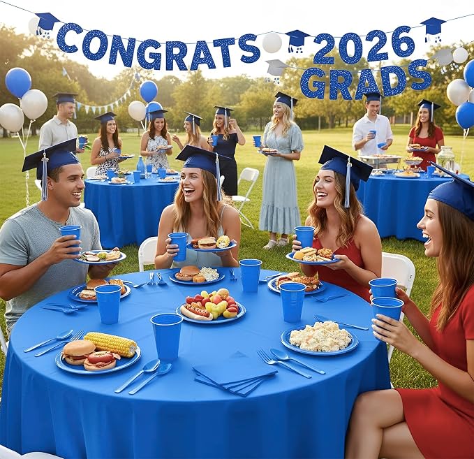 Blue Plastic Plates for Party,30 Guest Disposable Plastic Plate Set 9" Plates,7" Dessert Plates,Napkins,12 oz Cups,Forks & Tablecloth for Birthday,Graduation,Picnic,Father's Day Party