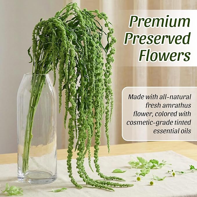 Suncalla 24 Pcs Forest Green Spring Natural Dried Amaranthus Hanging Flowers Amaranthus Artificial Flowers for Wedding Arch Bouquet Floral Garland Wall Home Decoration (23 Inch)