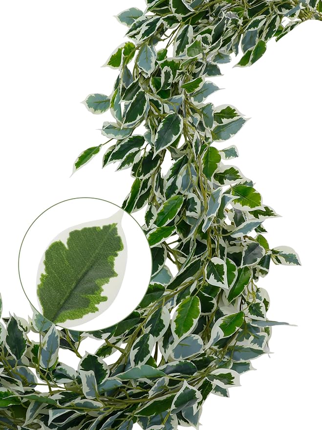 ucky Fake Vines, Eucalyptu Vines Garland, Ivy Vines, Green Artificial Wall Decor Hanging, Wedding Decoration，Flower Bouquet Decoration (2, Scindaps Vines)
