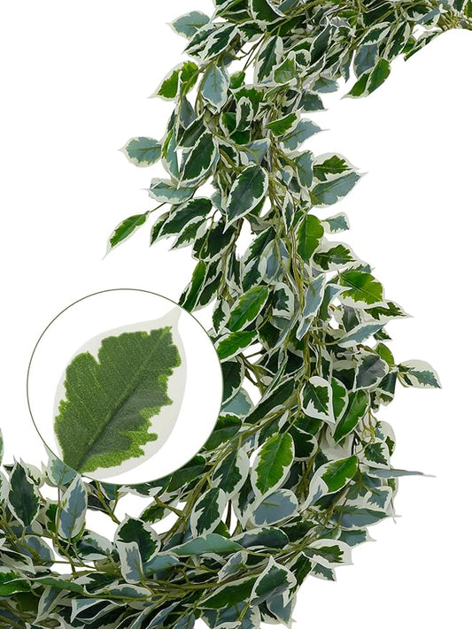 ucky Fake Vines, Eucalyptu Vines Garland, Ivy Vines, Green Artificial Wall Decor Hanging, Wedding Decoration，Flower Bouquet Decoration (2, Scindaps Vines)
