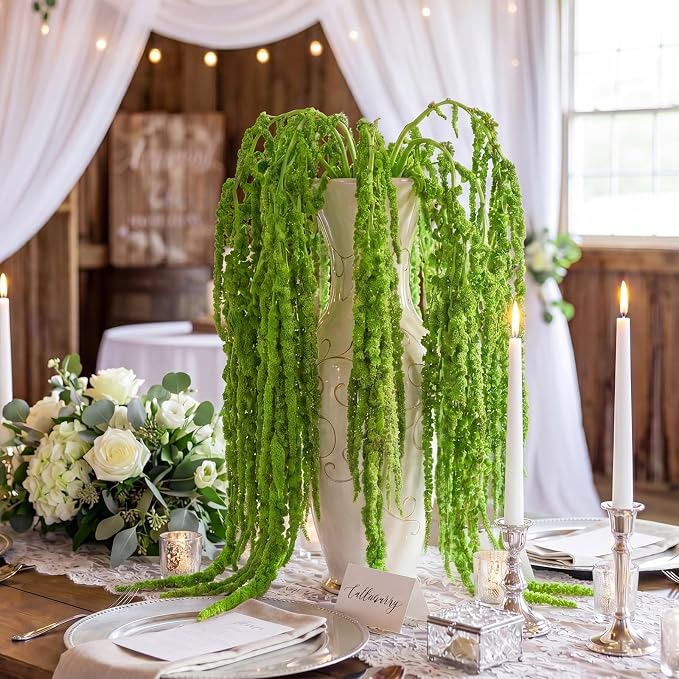 Suncalla 36 Pcs Green Spring Natural Dried Amaranthus Hanging Flowers Amaranthus Artificial Flowers for Wedding Arch Bouquet Floral Garland Wall Home Decoration (23 Inch)
