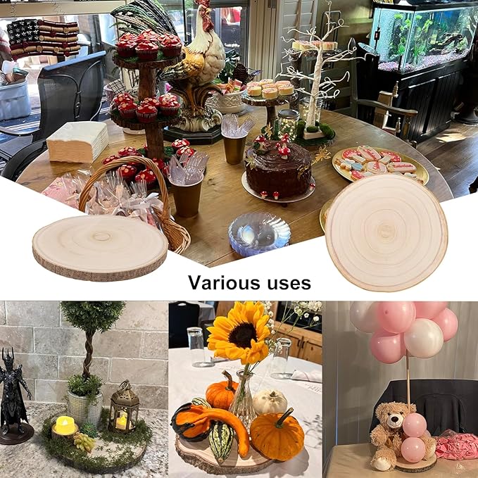 10 PCS 8-9 Inch Unfinished Wood Slices for Centerpieces, Natural Paulownia Wood Slices with Tree Bark for DIY Crafts, Centerpieces Table Decorations, Art & Decor