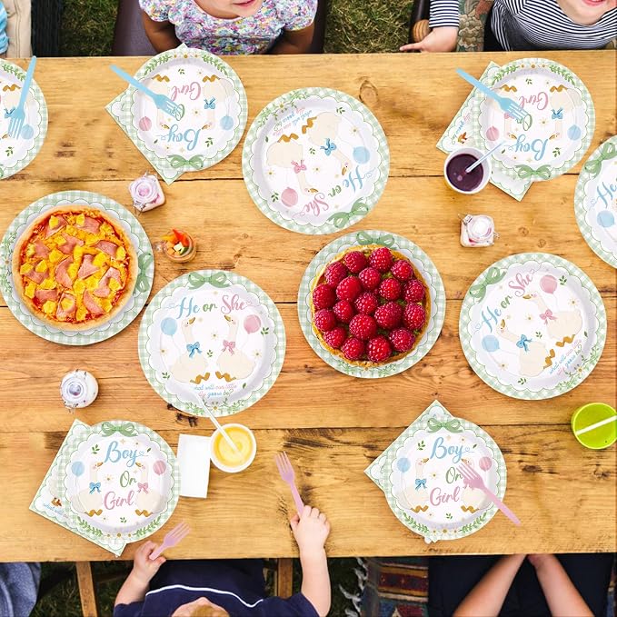 96 Pcs Sage Green White Goose Gender Reveal Decorations Baby Shower Plates and Napkins Goose Baby Shower Tableware Set for Gender Reveal Birhday Party Supplies, Serves 24
