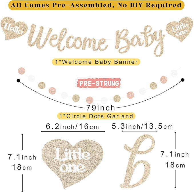Boho Blush Pink Baby Shower Decorations for Girl, Pre-Strung, 24pcs | Welcome Baby Sign, Honeycomb Balls, Paper Flowers, Lanterns, Fans, Streamers, Dots Garland for Girl Baby Shower Decorations