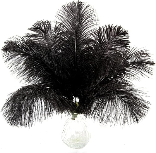 10pcs Natural Black Ostrich Feathers 16-18inch 40-45cm for Wedding Party Centerpieces, Easter Home Decorations