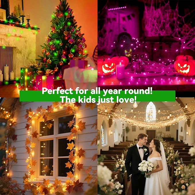 LitHome 66FT Fairy Lights Plug in, 200LED Color Changing Fairy Lights with Remote, 9 Modes Led Christmas Twinkle Light Indoor, Starry String Light for Classroom Bedroom Dorm Halloween Christmas Decor