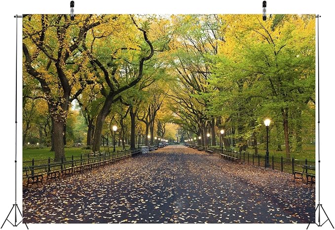 8x6ft Fabric Central Park Backdrop New York City Park Path Trees Autumn Scenery Background Outdoor Hiking United States Nature Theme Wallpaper Photo Booth Studios Props