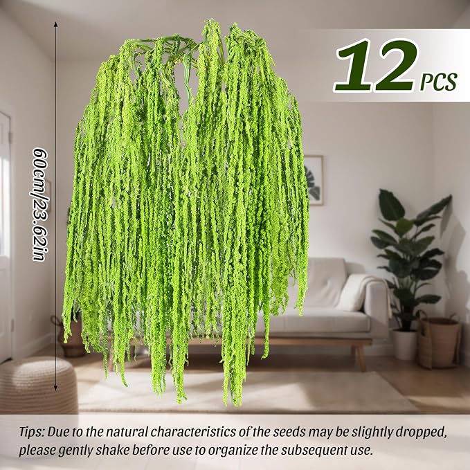 Suncalla 12 Pcs Green Spring Natural Dried Amaranthus Hanging Flowers Amaranthus Artificial Flowers for Wedding Arch Bouquet Floral Garland Wall Home Decoration (23 Inch)