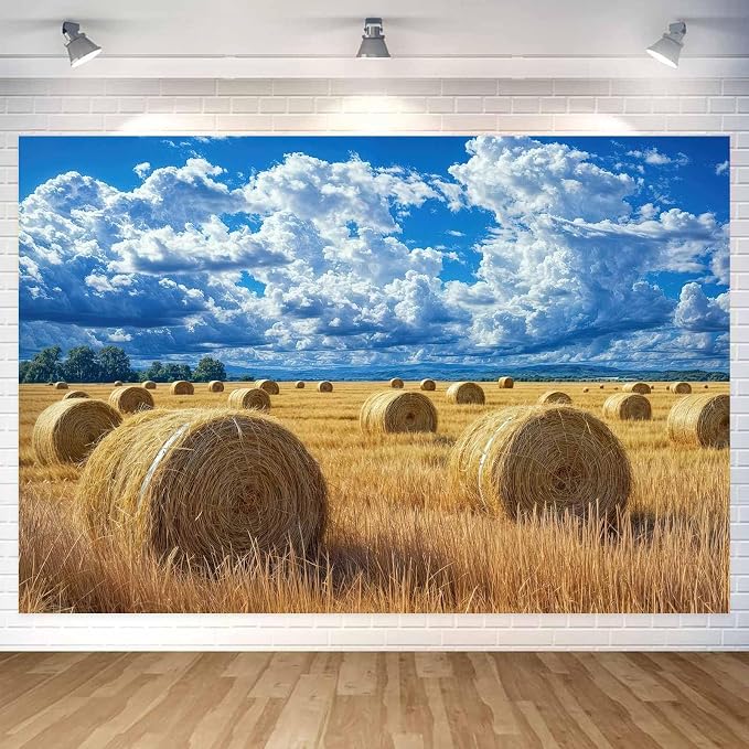 10 x 8 ft Autumn Harvest Field Backdrop Fall Farm Blue Sky White Clouds Field Haystack Country Photography Background Western Newborn Children Birthday Background Banner Photo Studio Props