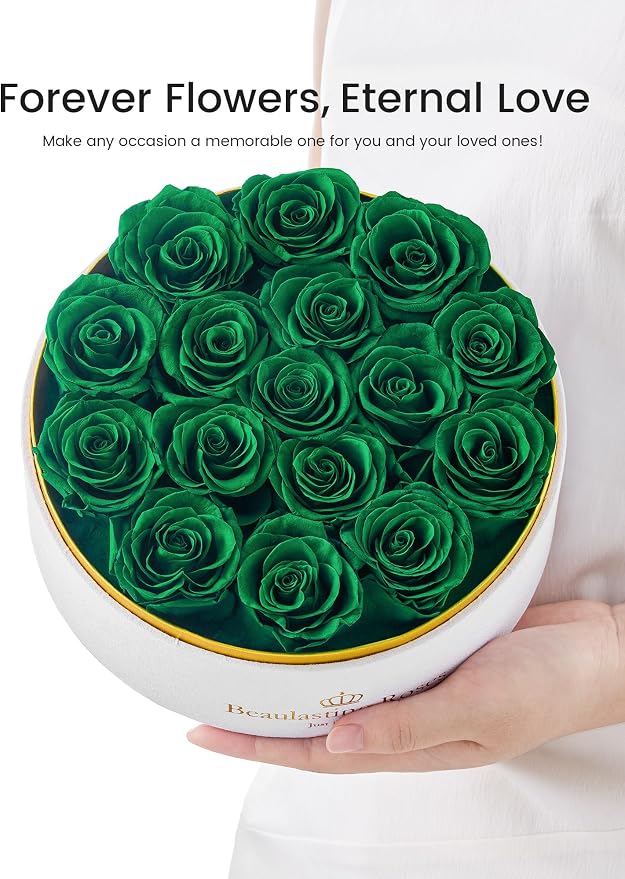 16 Preserved Roses Forever Flowers Real Roses in a Box Mother's Day Birthday Flowers for Her Mom Women Wife Valentine's Day, Green Roses
