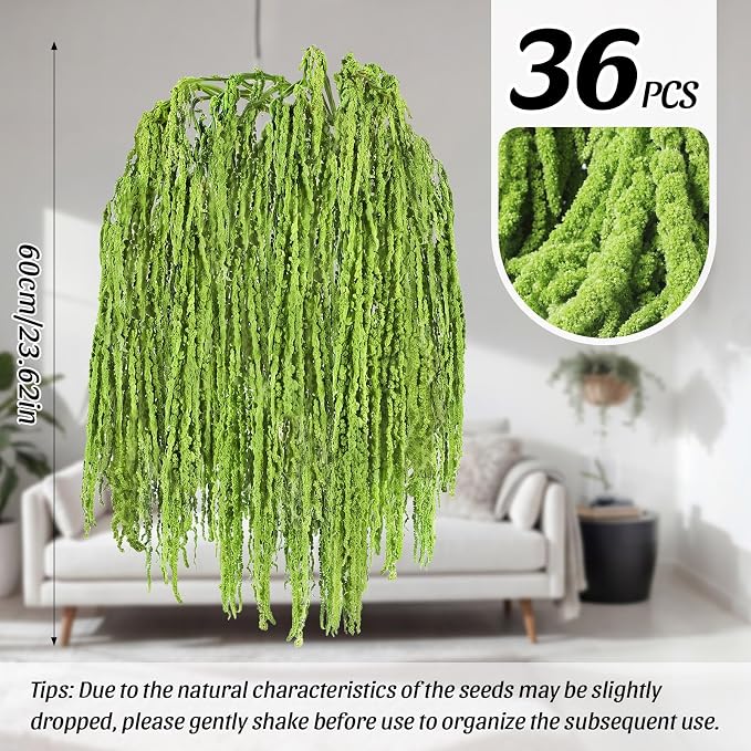 Suncalla 36 Pcs Green Spring Natural Dried Amaranthus Hanging Flowers Amaranthus Artificial Flowers for Wedding Arch Bouquet Floral Garland Wall Home Decoration (23 Inch)