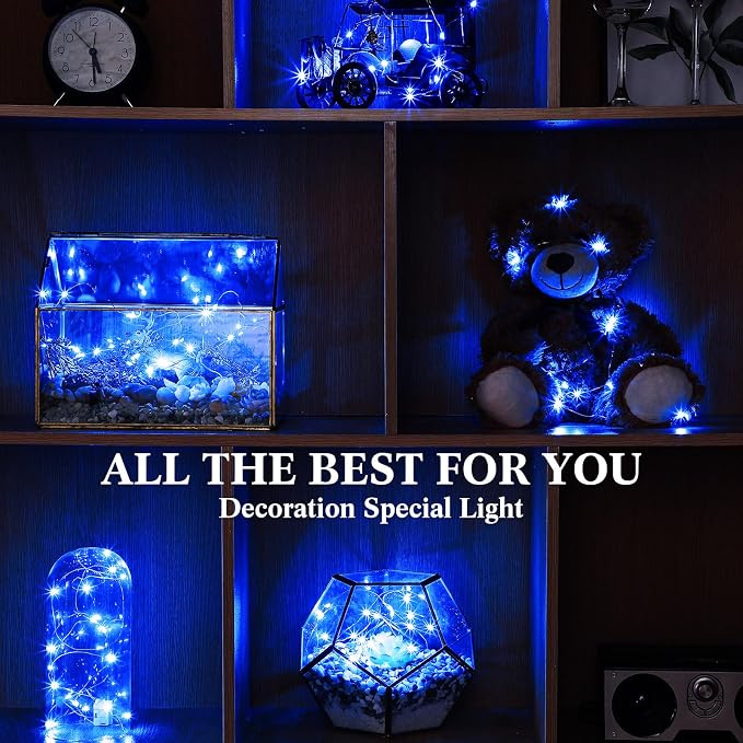 Hortsun 100 Packs Fairy Lights Battery Operated 3 Speed Modes, 7 Ft/ 2 M 20 LED Battery String Mini Waterproof Wire Twinkle Lights Bulk for Wedding Party Birthday Vases Decor (Blue Light)