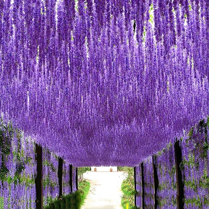 Artificial Flowers Hanging Flowers, Fake Wisteria Flower Garland Silk Vines Rattan String Decor for Home Wedding Arch Wall Garden Greenery Bedroom Outdoor Office Party Decoration (12, Light Purple)