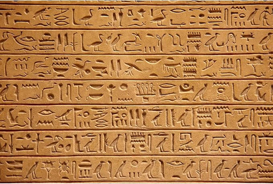 Egypt Hieroglyphs Background Ancient Egyptians Civilization Photography Backdrop Egyptian Art Photos Archaeology History Culture Background Mural Travel Backdrop Portraits Studio Decor 12x8ft