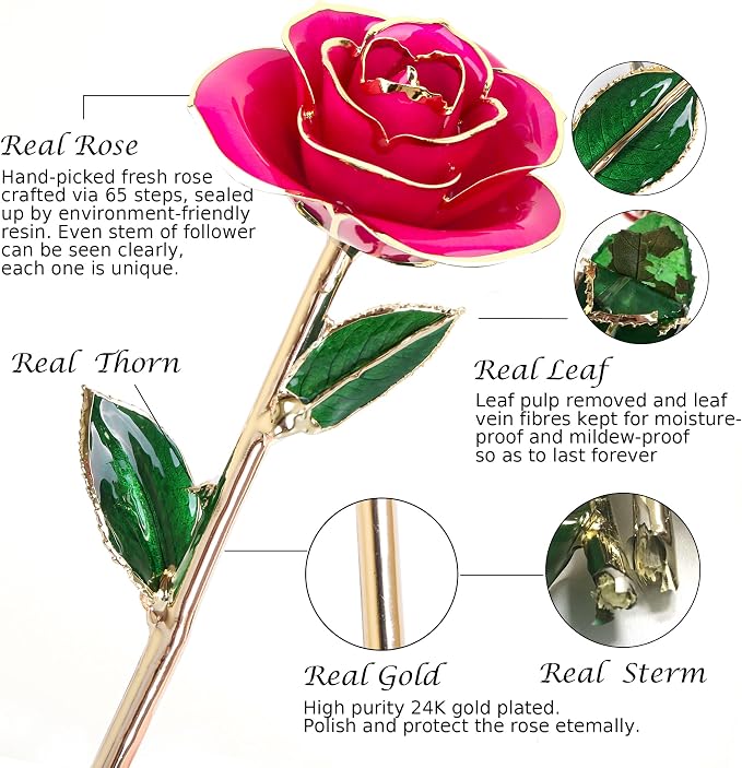Sinvitron Gold Dipped Infinity Rose - Eternal Resin-Preserved Rose | Forever Flower Decor for Birthdays, Mother’s Day, Anniversaries | Unique Gift for Women, Mom, Wife (Peach Pink)