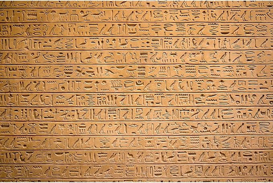 Egypt Hieroglyphs Backdrop Ancient Egyptians Civilization Photography Background Egyptian Art Photos Archaeology History Course Culture Background Mural Travel Backdrop Portraits Decor 5x3ft