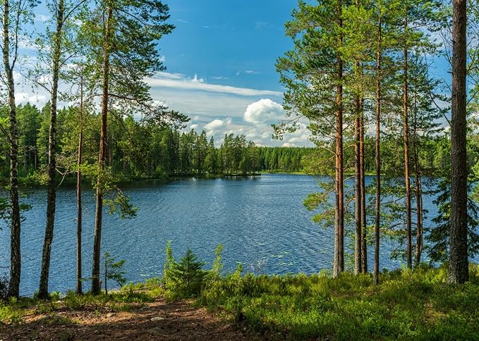 BELECO 10x6.5ft Fabric Forest Lake Backdrop Nature Park Lakeside Green Trees Scenery Background Spring Summer Outdoor Camping Hiking Decoration Kid Adult Artistic Portrait Photo Studio Props