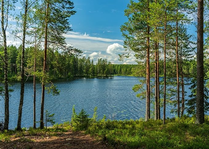 BELECO 20x10ft Fabric Forest Lake Backdrop Nature Park Lakeside Green Trees Scenery Background Spring Summer Outdoor Camping Hiking Decoration Kid Adult Artistic Portrait Photo Studio Props