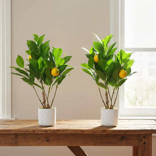 2Pack/19.7" Lemon Branch Fake Plants in Potted, Faux Green Bonsai Tree with White Marble-Look Pot and Cement Moss Base, Decorative Small Artificial Plants Indoor for Home & Office Desk