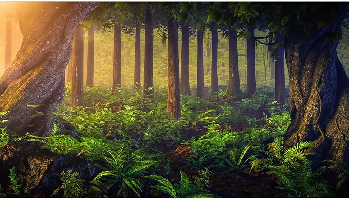 Magical Fantasy Forest Photography Background Jungle Safari Theme Party Backdrop Green Trees Sunlight Backdrop Enchanted Forest Theme Baby Shower Adult Photo Studio Props Backdrops 8x6ft