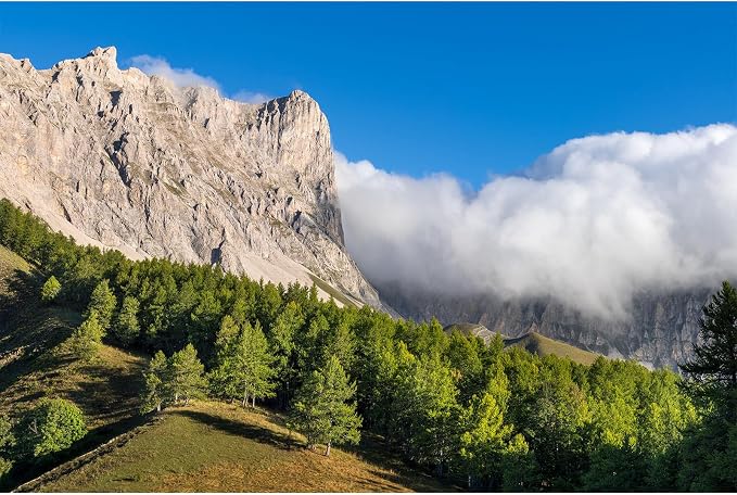 Mountain Valley Backdrop Summer View on Alps Devoluy Massif Mountain Ridge Photography Background Hautes-Alpes Larch Tree Forest Blue Sky Backdrop France Travel Hiking Theme Background 8x6ft