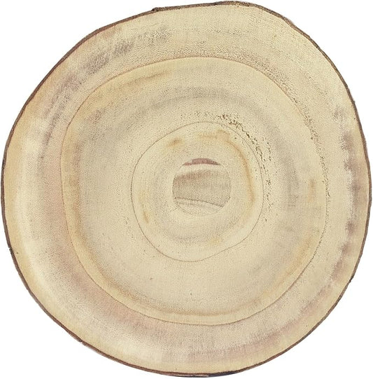 Bonsicoky Wood Slices for Centerpieces, 9-10 Inch Rustic Wood Circles for Art Projects, Handmade Craft Discs, Organic Wooden Table Decor, Artistic Creations Medium