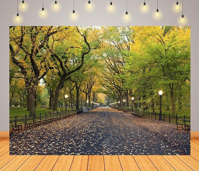 7x5ft Fabric Central Park Backdrop New York City Park Path Trees Autumn Scenery Background Outdoor Hiking United States Nature Theme Wallpaper Photo Booth Studios Props