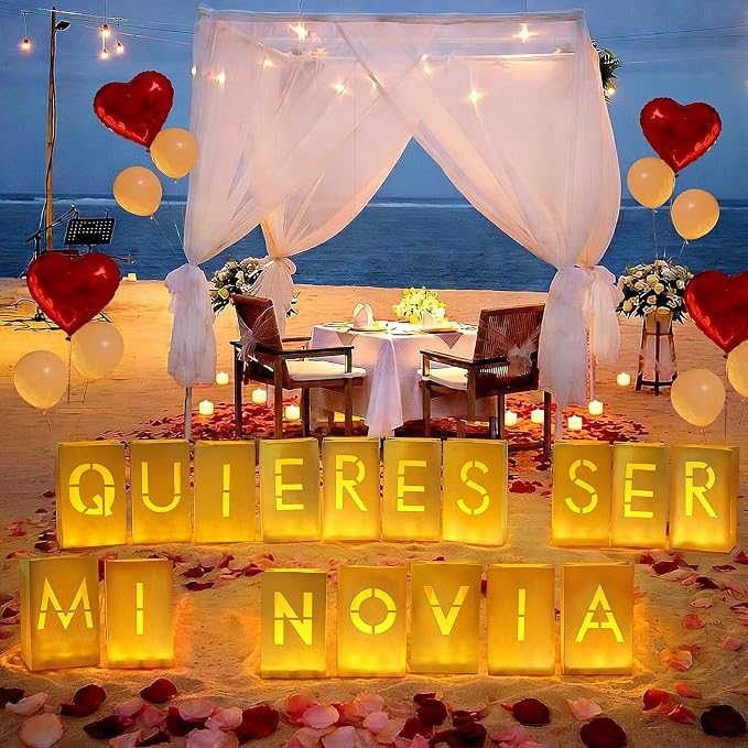 Quieres Ser Mi Novia Decorations, Light Up Letters Rose Petals LED Tea Lights Candles Latex Foil Balloons, Paper Luminary Bags for Her Proposal Anniversary Valentines' Day Decor