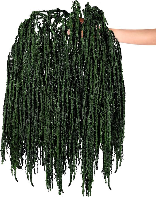 Suncalla 12 Pcs Dark Green Spring Natural Dried Amaranthus Hanging Flowers Amaranthus Artificial Flowers for Wedding Arch Bouquet Floral Garland Wall Home Decoration (23 Inch)