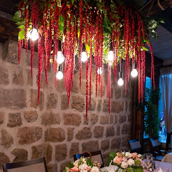 Suncalla Bright Red Spring Natural Dried Amaranthus Hanging Flowers Amaranthus Artificial Flowers for Wedding Arch Bouquet Floral Garland Wall Home Decoration (23 Inch,12 Pcs)