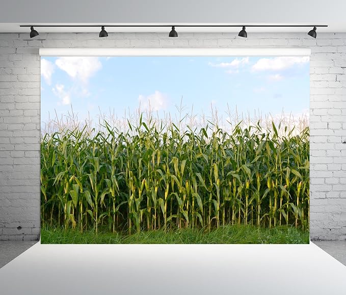 BELECO 10x6.5ft Fabric Cornfield Maze Backdrop Green Corn Stalks Corn Field Countryside Farm Harvest Background Corn Field Themed Party Decorations Adults Kids Portrait Photoshoot Studio Props