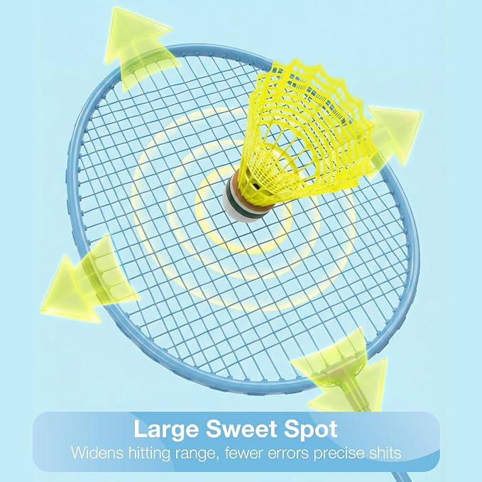 AboveGenius Badminton Rackets Set, Lightweight Badminton Set Includ 4/6 PCS Rackets, 6 Birdies, Outdoor Backyard Games, Racquets for Adults, Teens, Family Beginner