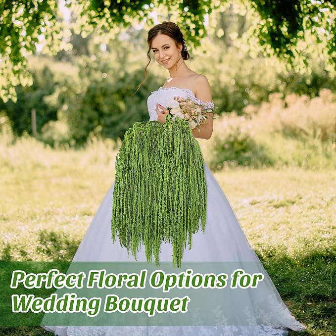 Suncalla 24 Pcs Forest Green Spring Natural Dried Amaranthus Hanging Flowers Amaranthus Artificial Flowers for Wedding Arch Bouquet Floral Garland Wall Home Decoration (23 Inch)