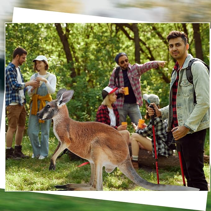 Amyhill 5.2 ft Kangaroo Cardboard Cutout Australian Themed Party Decoration Kangaroo Life-size Stand-up Australia Animal Standee Decoration Backdrop Photo Prop for Wild Animal Birthday Vbs Party Decor