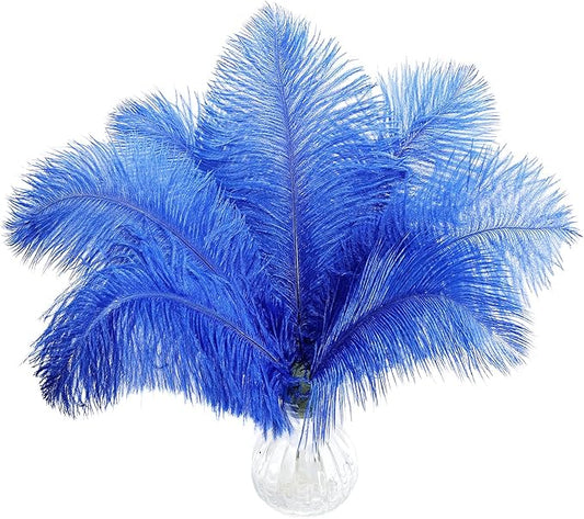 10pcs Natural Blue Ostrich Feathers 20-22inch 50-55cm for Wedding Party Centerpieces, Easter Home Decorations