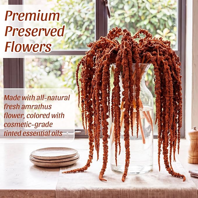 Suncalla 12 Pcs Brown Spring Natural Dried Amaranthus Hanging Flowers Amaranthus Artificial Flowers for Wedding Arch Bouquet Floral Garland Wall Home Decoration (23 Inch)