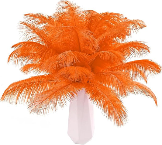 THARAHT Orange Ostrich Feathers 24pcs Natural Bulk 8-10Inch 20cm-25cm for Crafts Wedding Party Centerpieces Halloween and Home Decoration Feathers