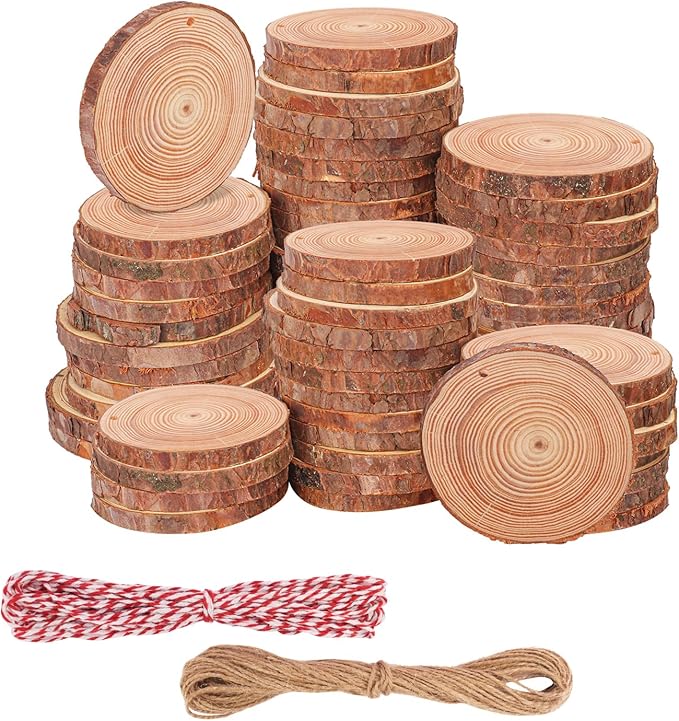 76 PCS Small Wood Slices with Hole for Crafts, 3.5 Inch - 4 Inch Mini Wood Slices for Christmas Ornaments Rustic Wedding Decoration DIY Crafts, and More(Include 2 Rope)
