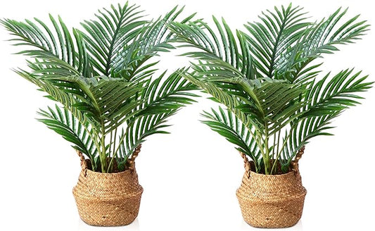 LOMANTO Fake Majesty Palm Plant 2Ft Artificial Tree for Home Decor Indoor Small Faux Trees in Pot Fake Tropical Plants for Housewarming 2Pack