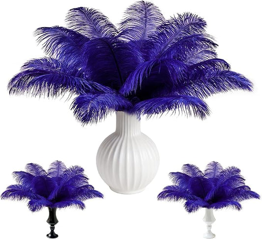 Natural Bulk Ostrich Feathers Bulk 60 Pack, 12-14 in, 10-12 in, 8-10 in (20 Pcs Each), for DIY Vase Craft Wedding Party Centerpieces Christmas Decoration