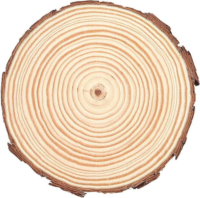 100PCS 3.5-4 Inch Natural Wood Slices, Unfinished Wood Slices 0.4 Inch Thick Wood Rounds Wood Coaster for Crafts, Painting, Ornaments